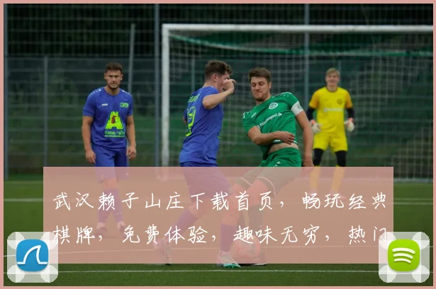 武汉赖子山庄下载首页，畅玩经典棋牌，免费体验，趣味无穷，热门下载