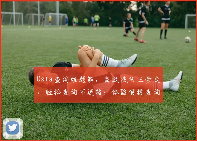 Osta查询难题解，高效技巧三步走，轻松查询不迷路，体验便捷查询新境界