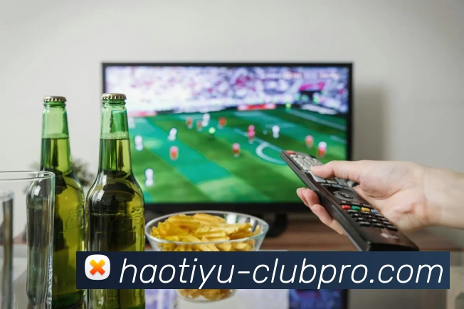 好体育官方网站APP 高清赛事图